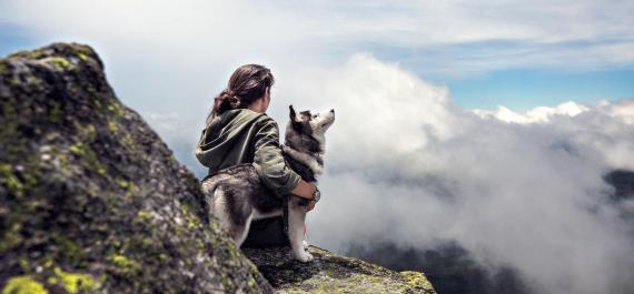 Pets Dolomites